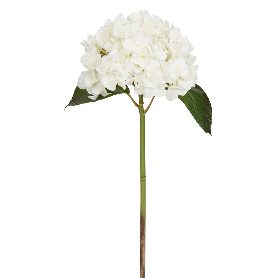 An image of Winward 18" Hydrangea Short stem