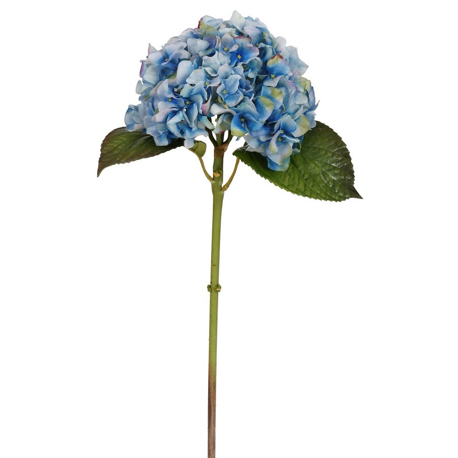 An image of Winward 18" Hydrangea Short stem