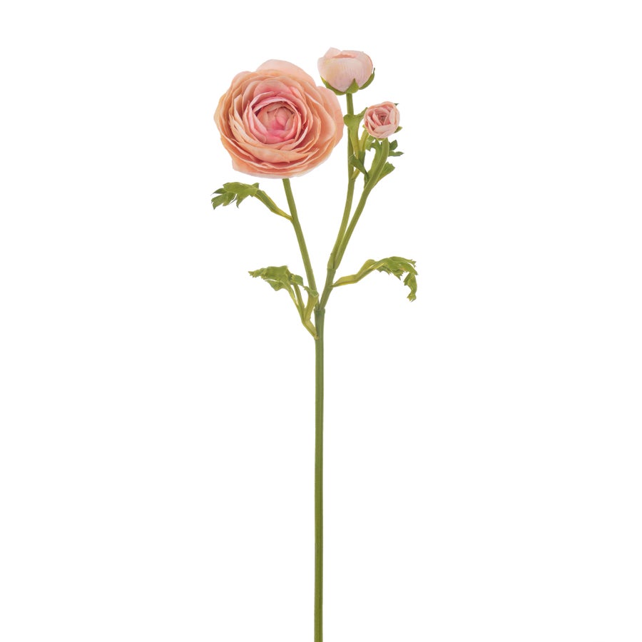 Winward Ranunculus 22.5" Stem