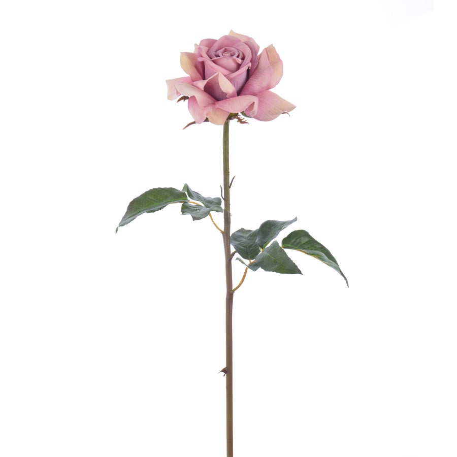 An image of Winward Rose Dutchess Open Short Stem 20"