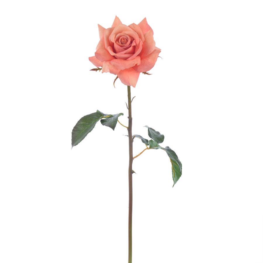 An image of Winward Rose Dutchess Open Short Stem 20"