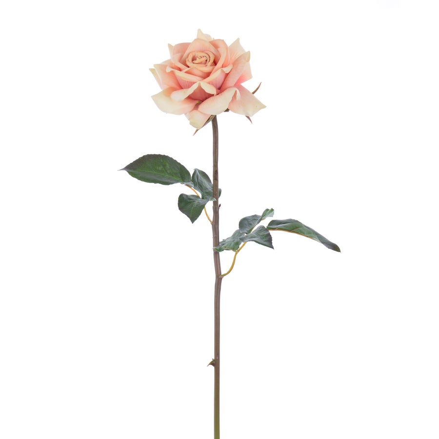 An image of Winward Rose Dutchess Open Short Stem 20"