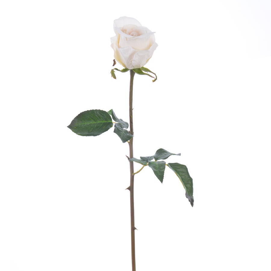 Winward Rose 20.5" Bud Pick