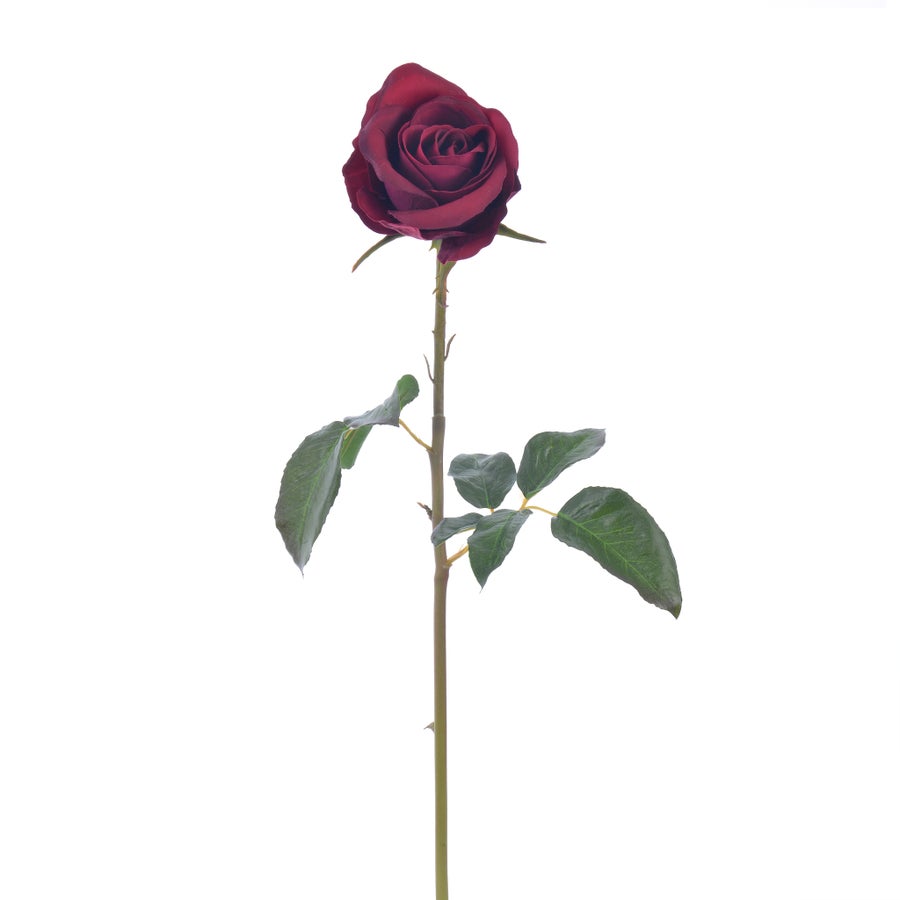 An image of Winward Rose 20.5" Bud Pick