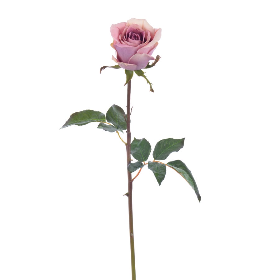 An image of Winward Rose 20.5" Bud Pick