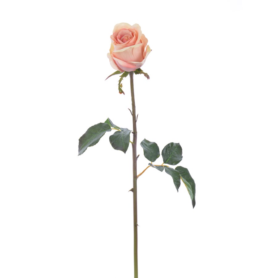 An image of Winward Rose 20.5" Bud Pick