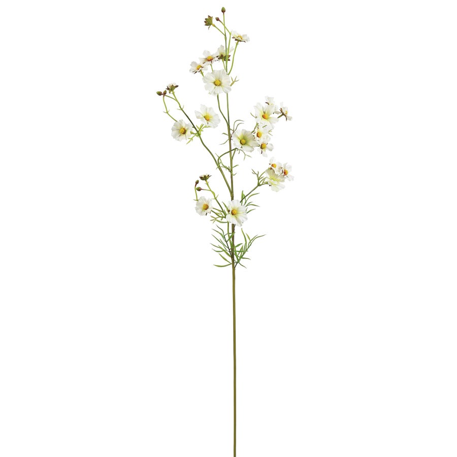 Winward Coreopsis 33" Spray Stem