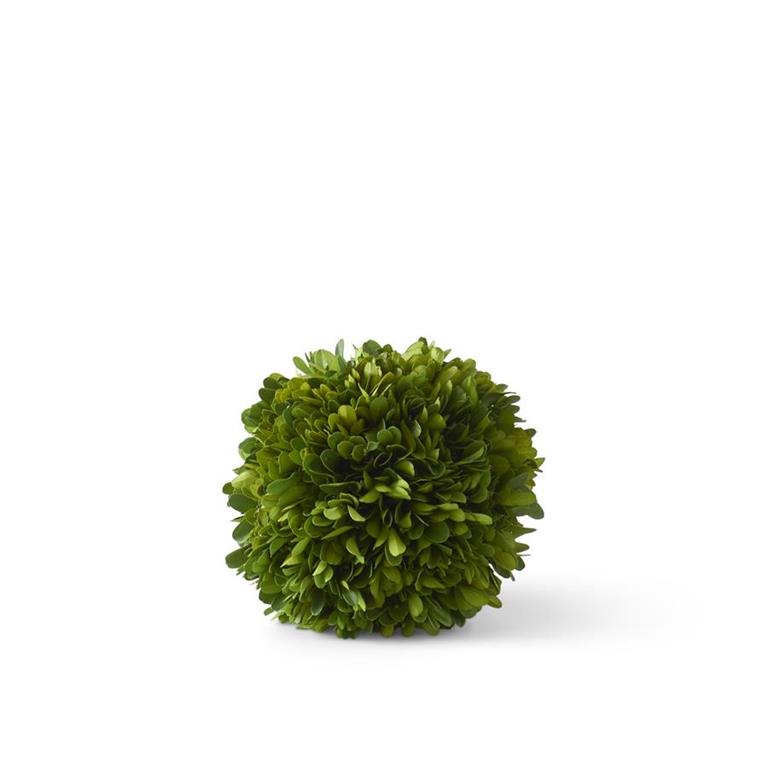 An image of K & K 5.5" Preserved Boxwood Ball