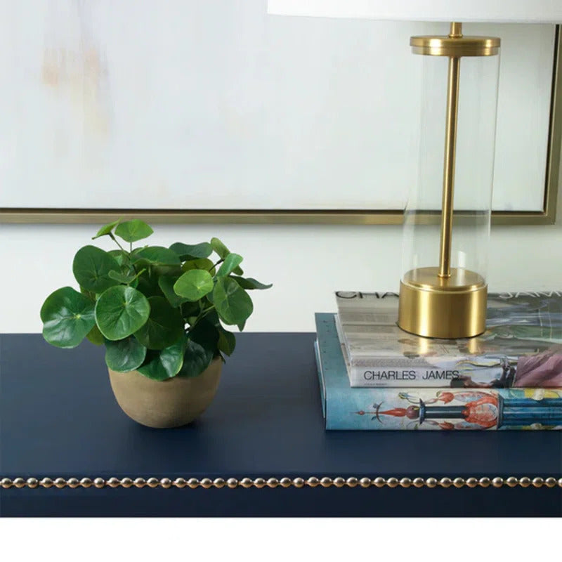 An image of Diane James Blooms Pilea plant in terracotta bowl