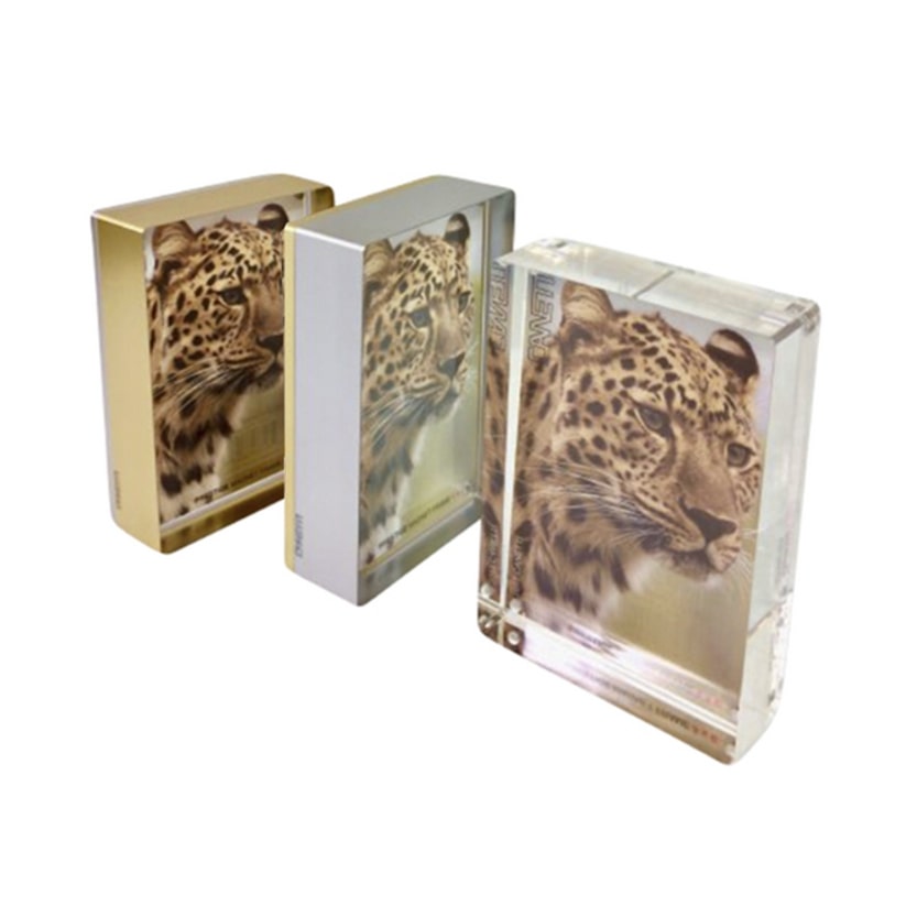 Canetti Prestige Acrylic Magnet Picture Frame