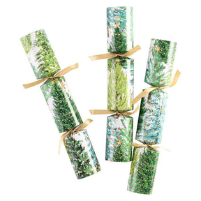 Caspari Christmas Trees with Lights Celebration Christmas Crackers - 6 Per Box