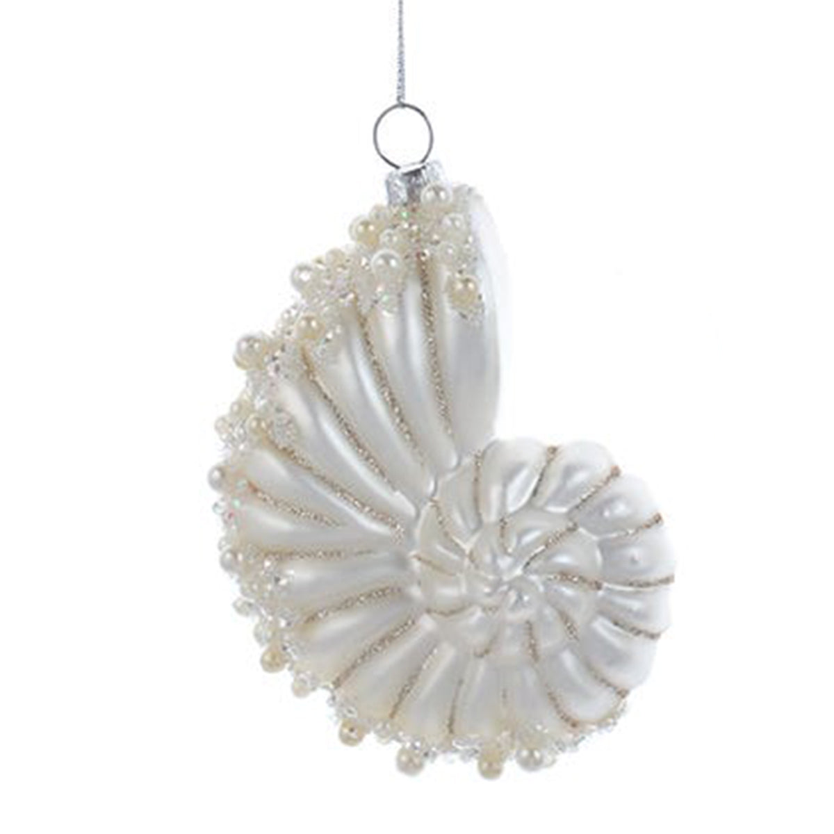 An image of Kurt Adler Glass Nautilus Shell