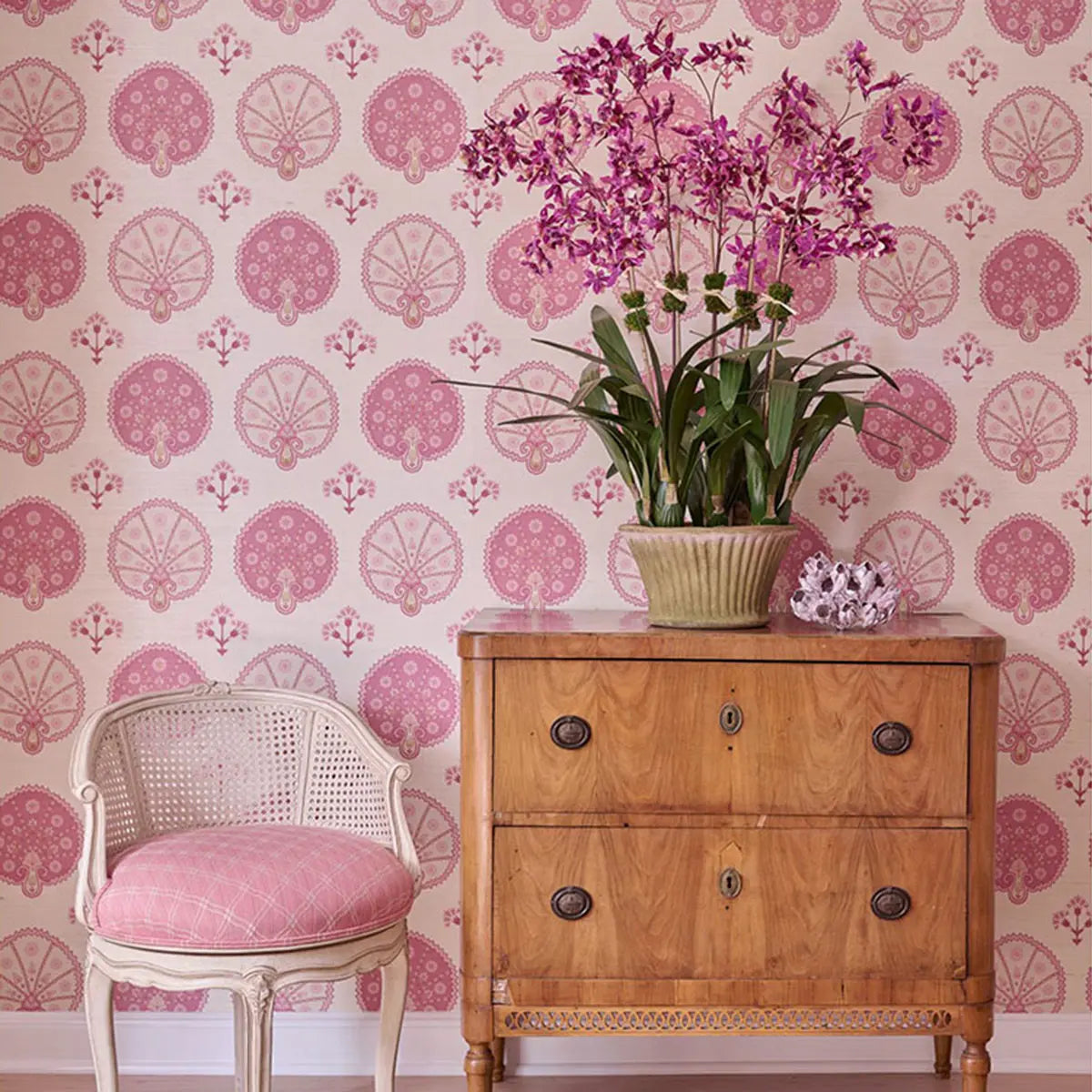 Diane James Purple Oncidium Orchid on a storage dresser in a room