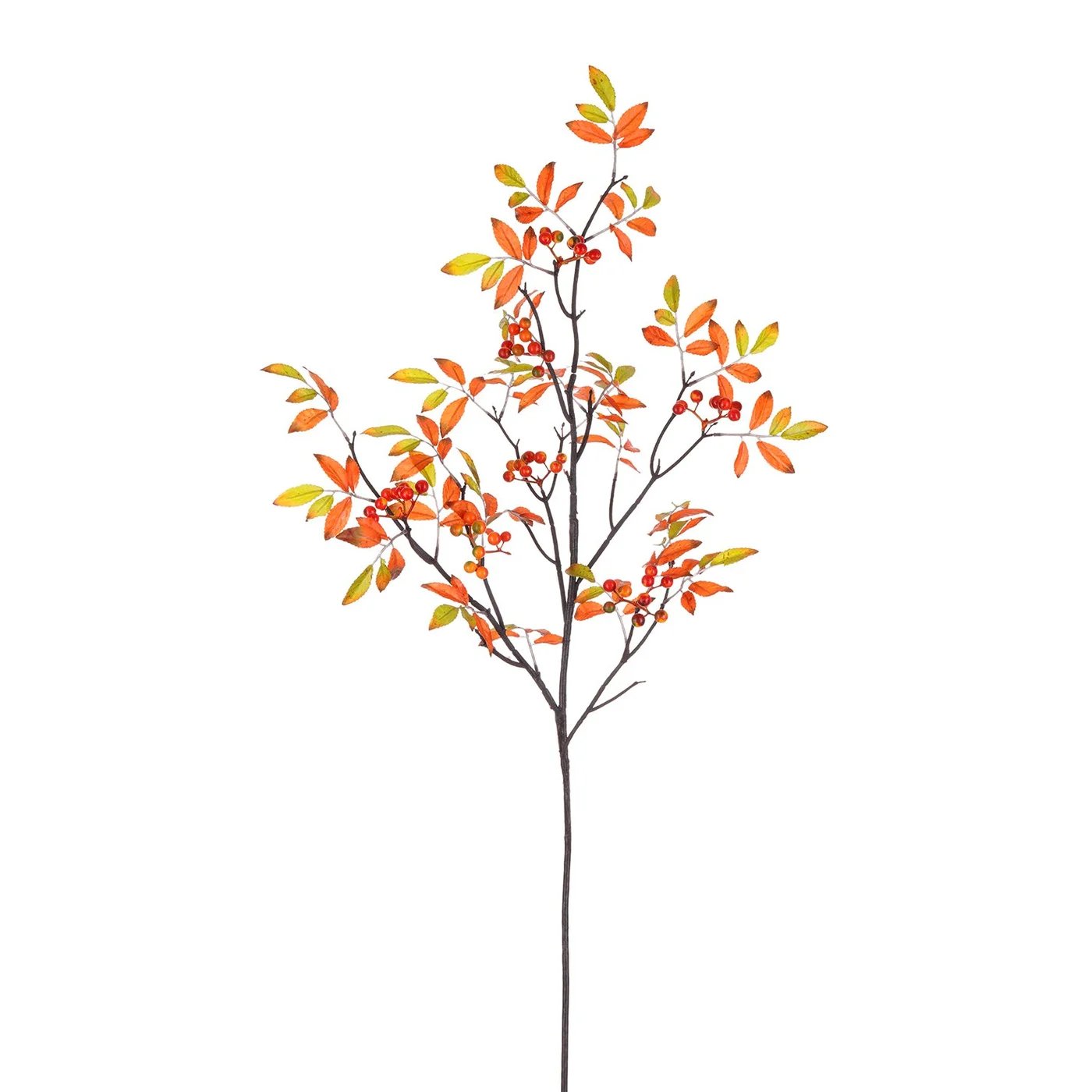 An image of Winward Fall Orange Berry Branch