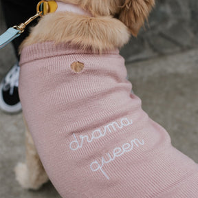 Max-Bone Drama Queen Jumper