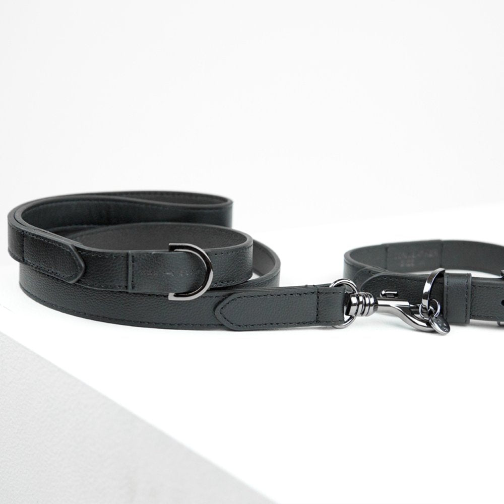 An image of Max-Bone Black Jewel Jet Leash