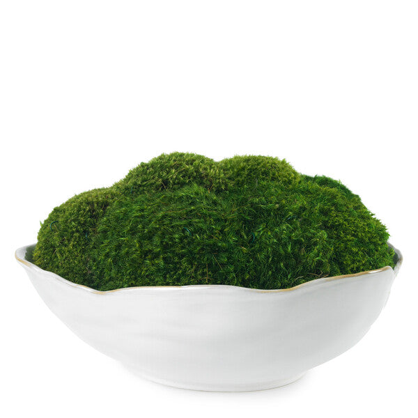 Diane James Potter's bowl with mood moss