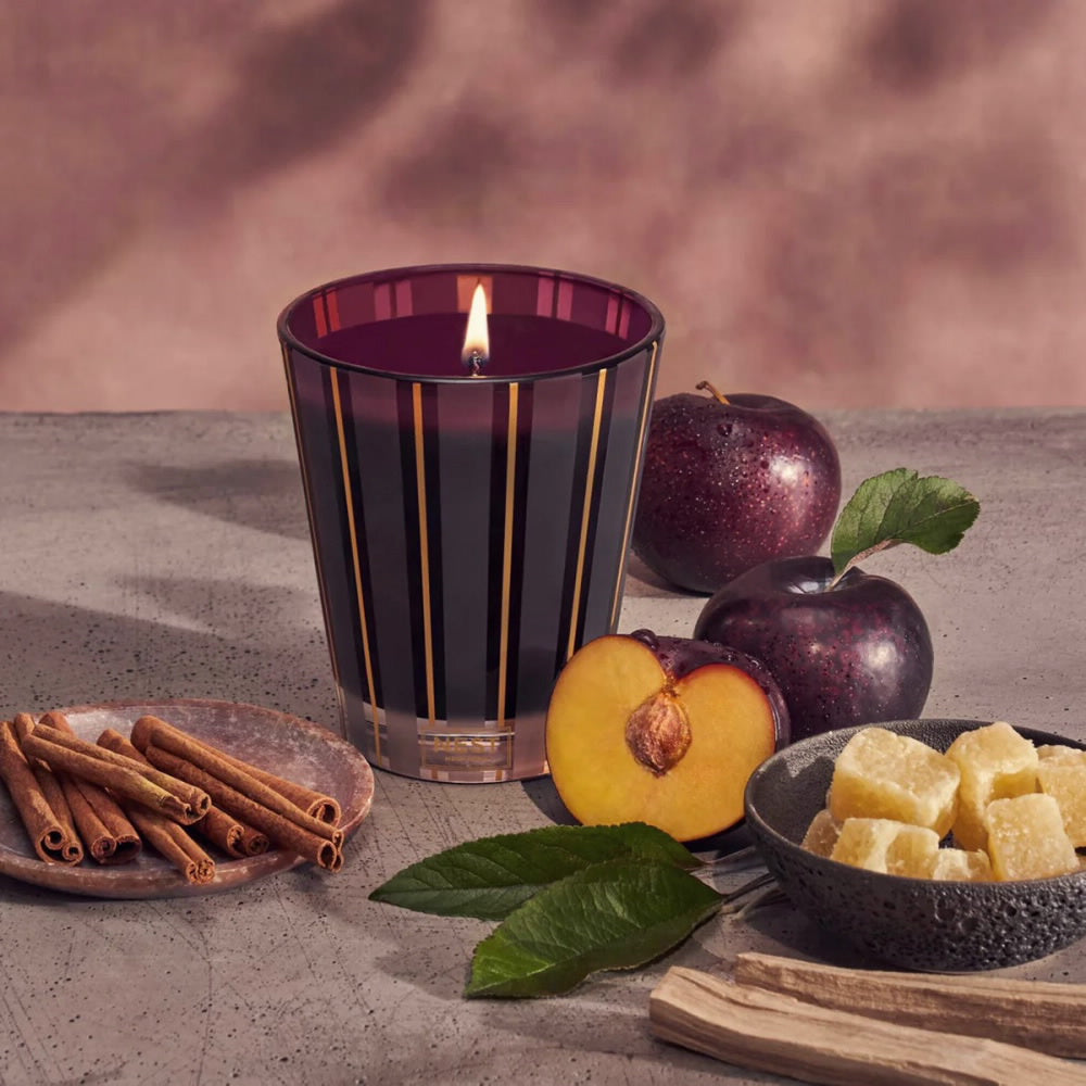 An image of Nest Fragrances Autumn Plum Classic Candle 8.1 oz