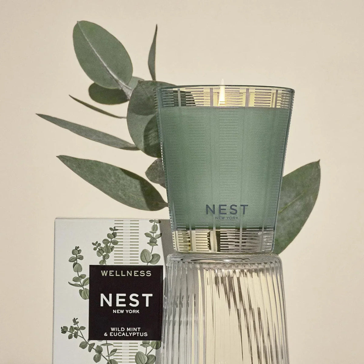 Nest Fragrances Wild Mint & Eucalyptus Classic Candle 8.1 oz