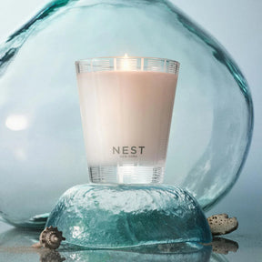 Nest Fragrances Ocean Mist & Sea Salt Classic Candle 8.1 oz