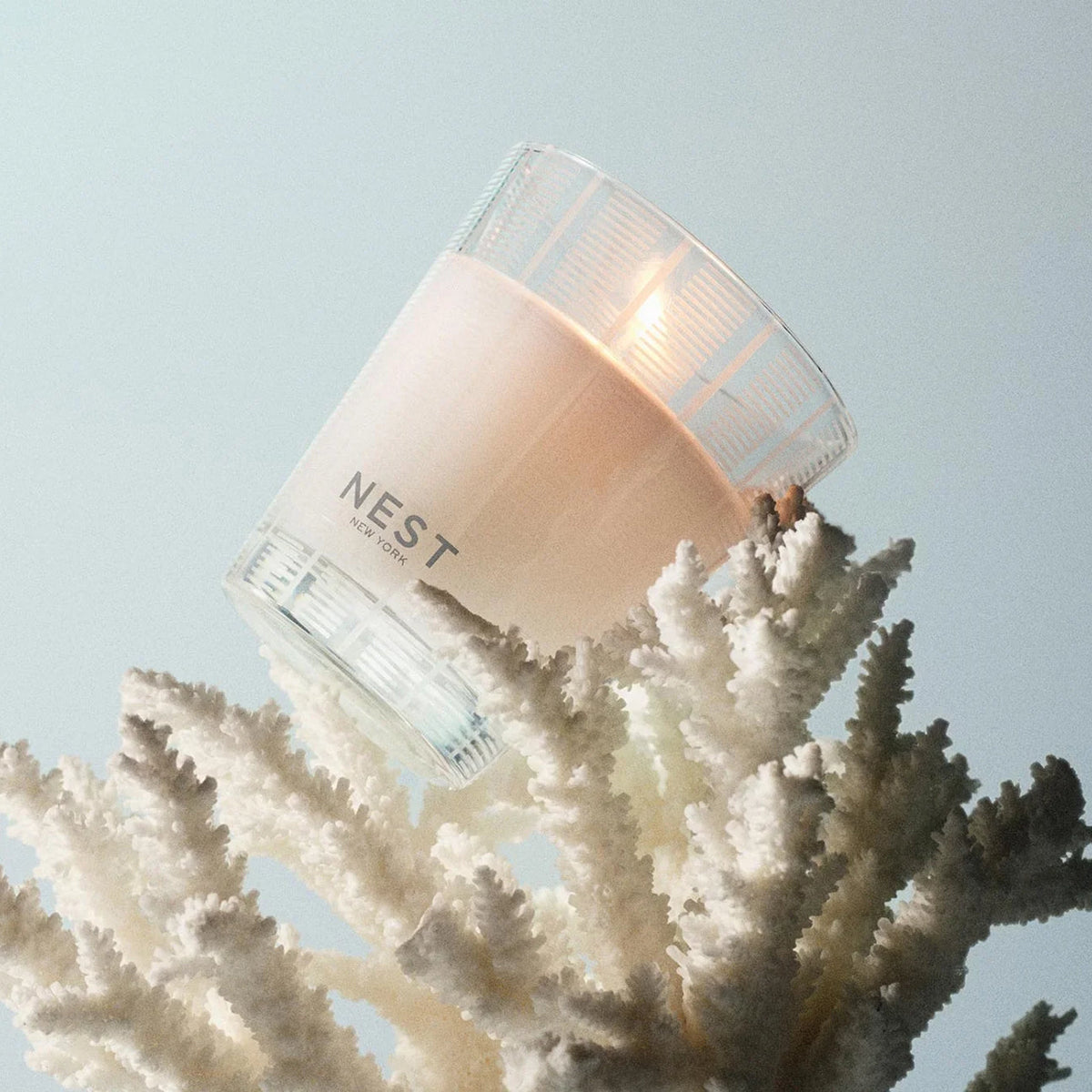 An image of Nest Fragrances Ocean Mist & Sea Salt Classic Candle 8.1 oz