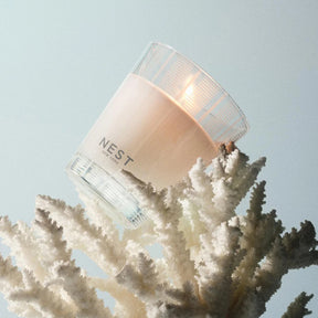 Nest Fragrances Ocean Mist & Sea Salt Classic Candle 8.1 oz