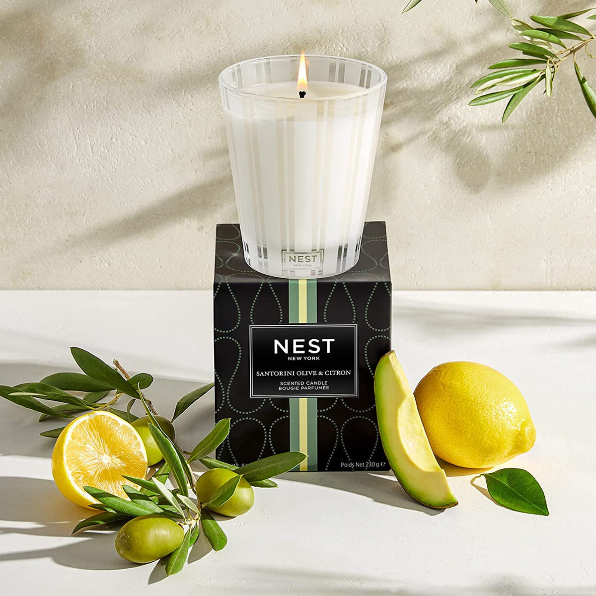 An image of Nest Fragrances Santorini Olive & Citron Classic Candle 8.1 oz