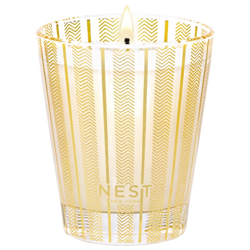 An image of Nest Fragrances Winter Chai Classic Candle 8.1 oz