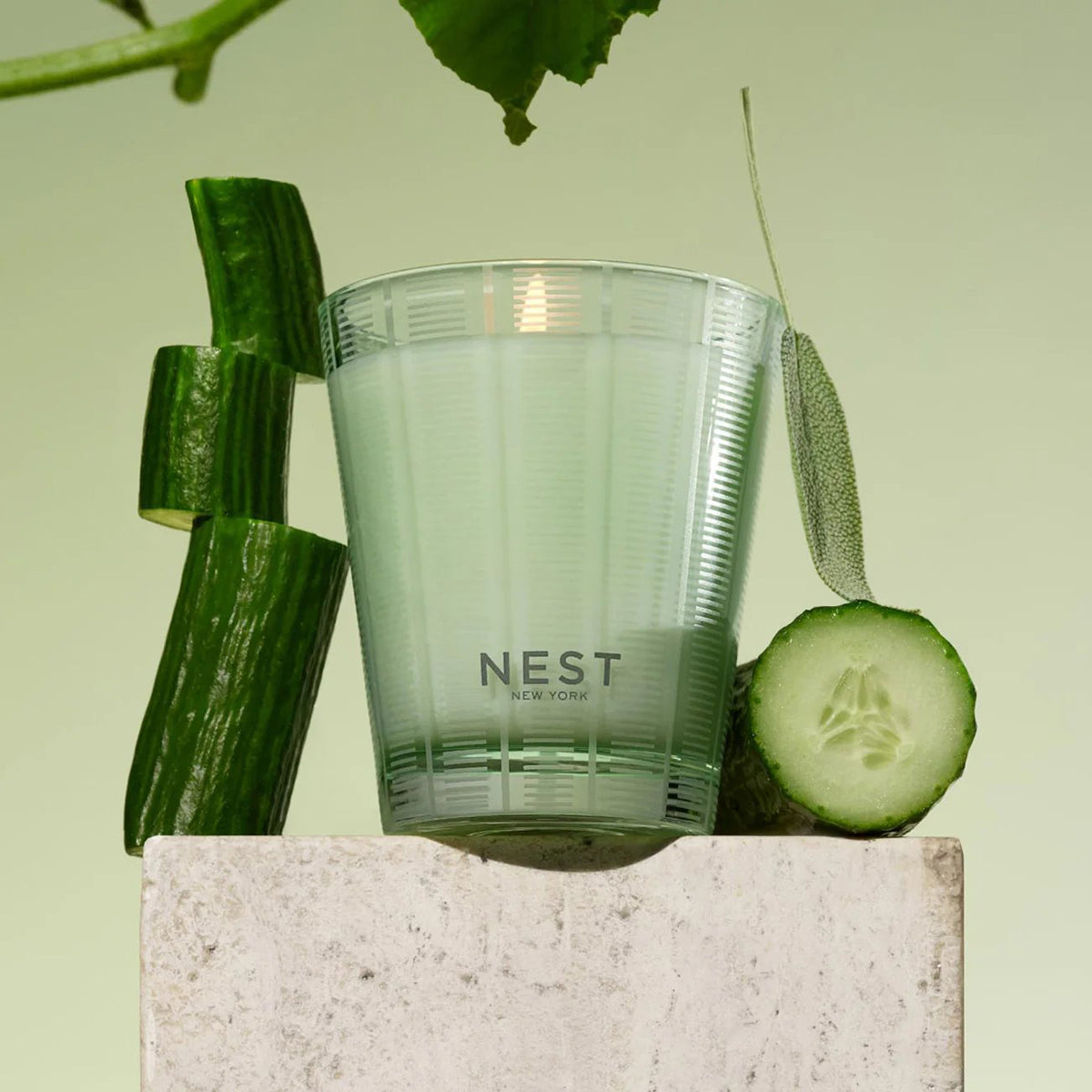 Nest Fragrances Cucumber and White Sage Classic Candle 8.1 oz