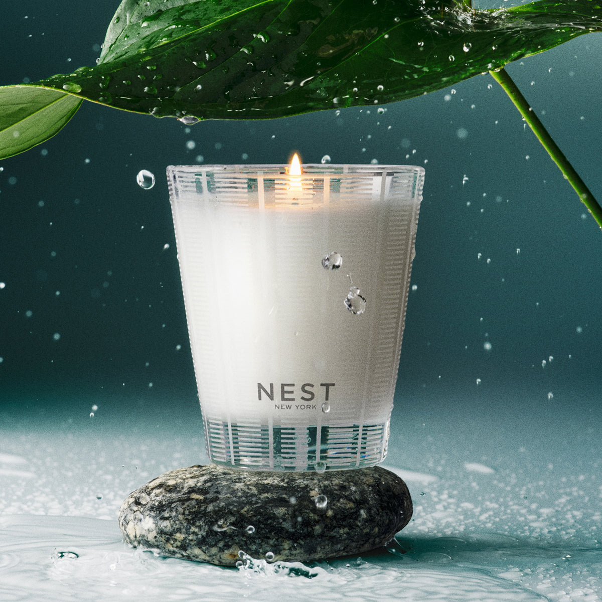 An image of Nest Fragrances Forest Rain Classic Candle 8.1 oz