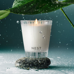 Nest Fragrances Forest Rain Classic Candle 8.1 oz