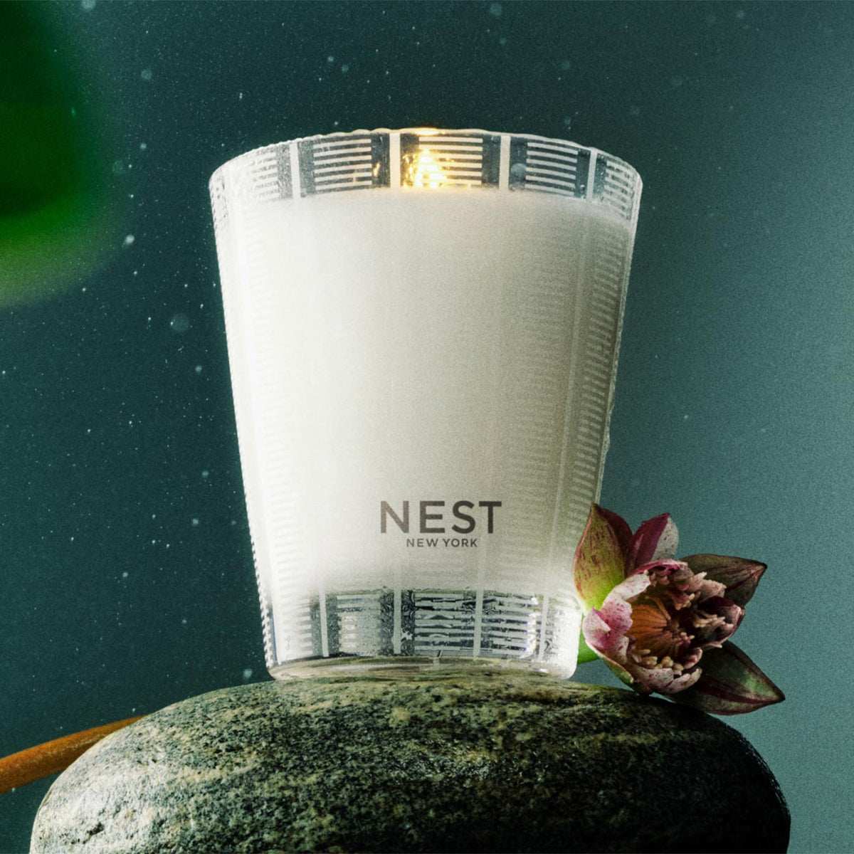 An image of Nest Fragrances Forest Rain Classic Candle 8.1 oz