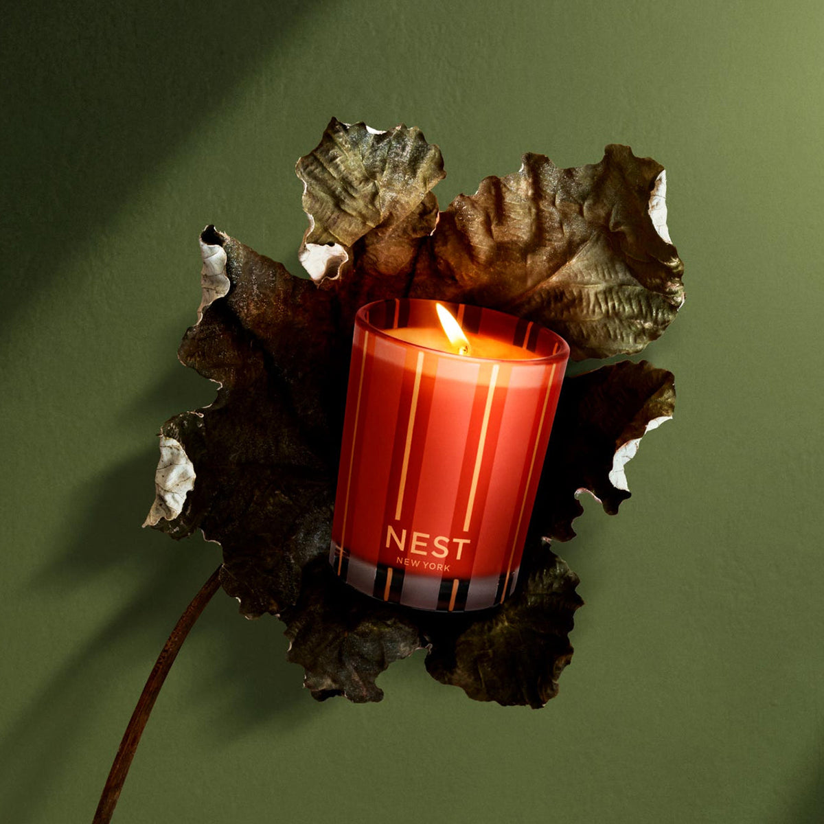 An image of Nest Fragrances Pumpkin Chai Votive Candle 2 oz