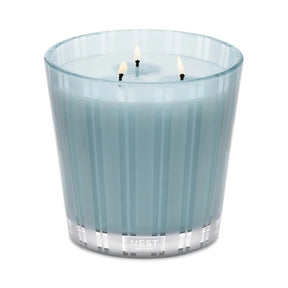 Nest Fragrances Driftwood & Chamomile 3-Wick Candle 21.2 oz