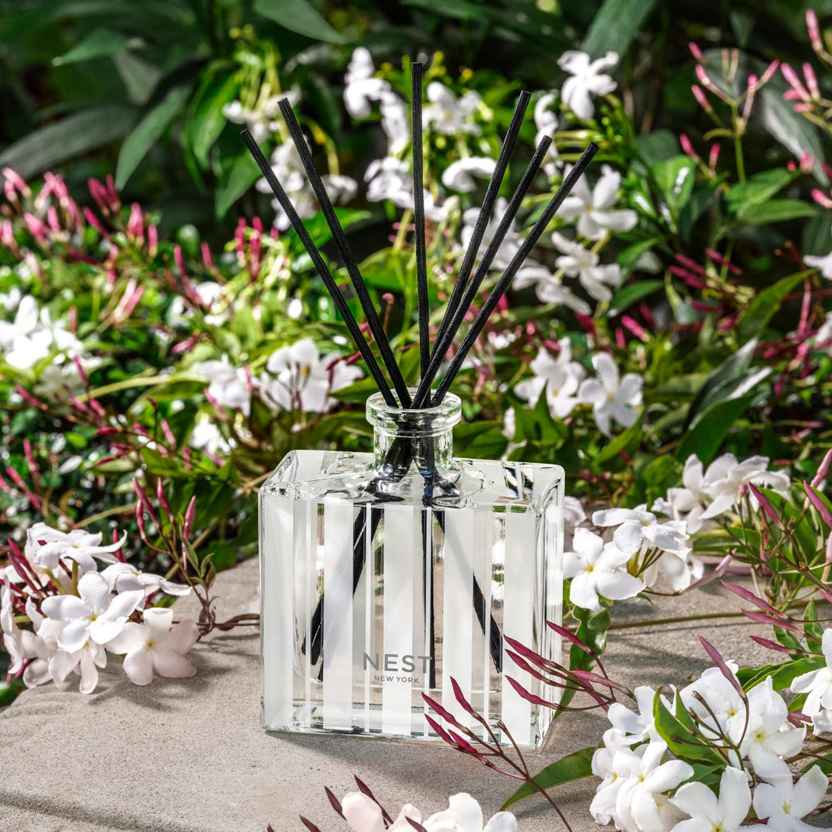 An image of Nest Fragrances Indian Jasmine Reed Diffuser 5.9 fl oz
