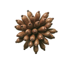 Kim Seybert Florett Napkin Ring - Set of 4