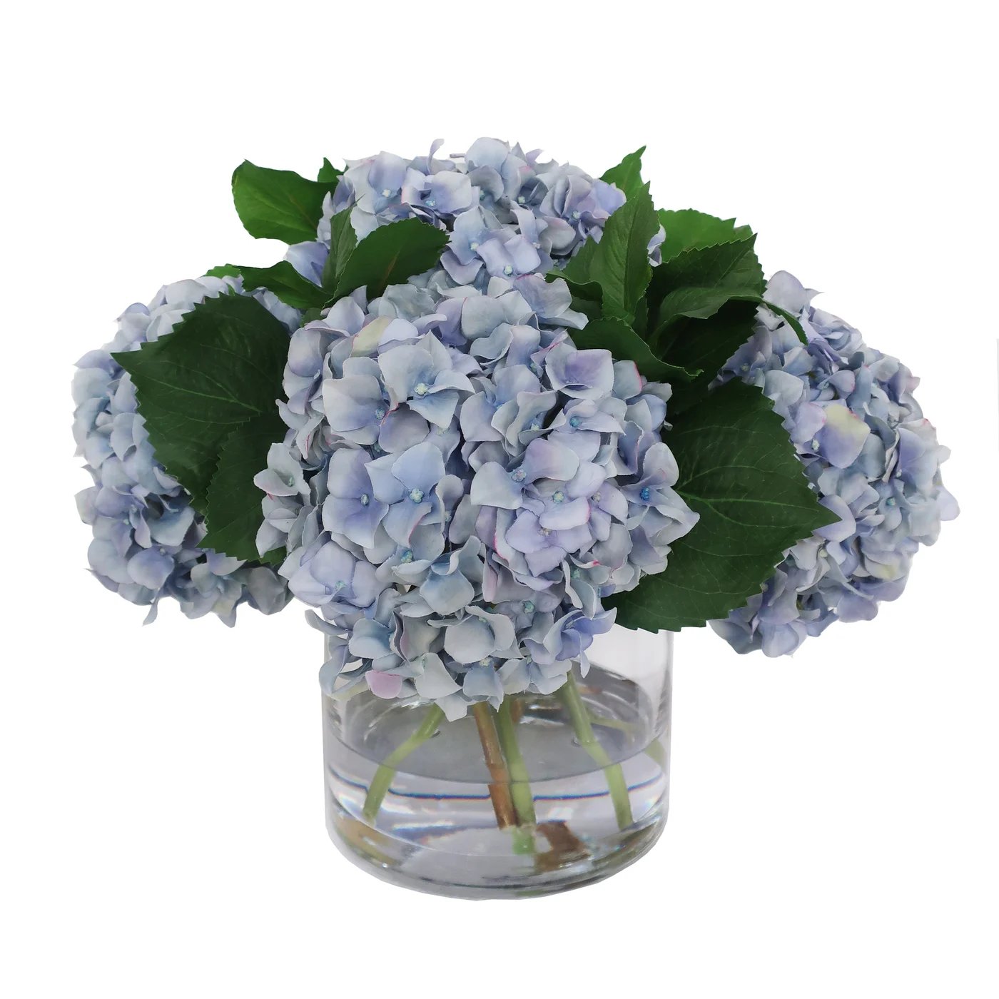Winward Blue Hydrangea in Vase