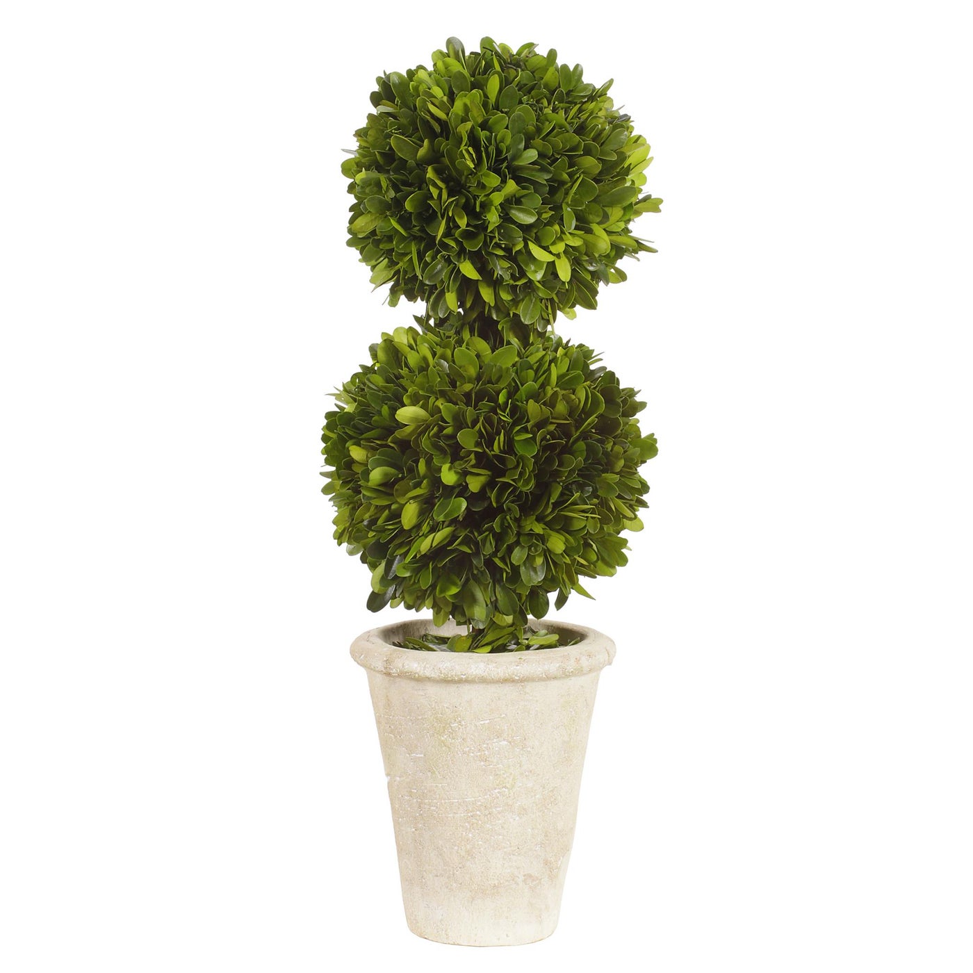 An image of Winward Double Ball Topiary in Pot