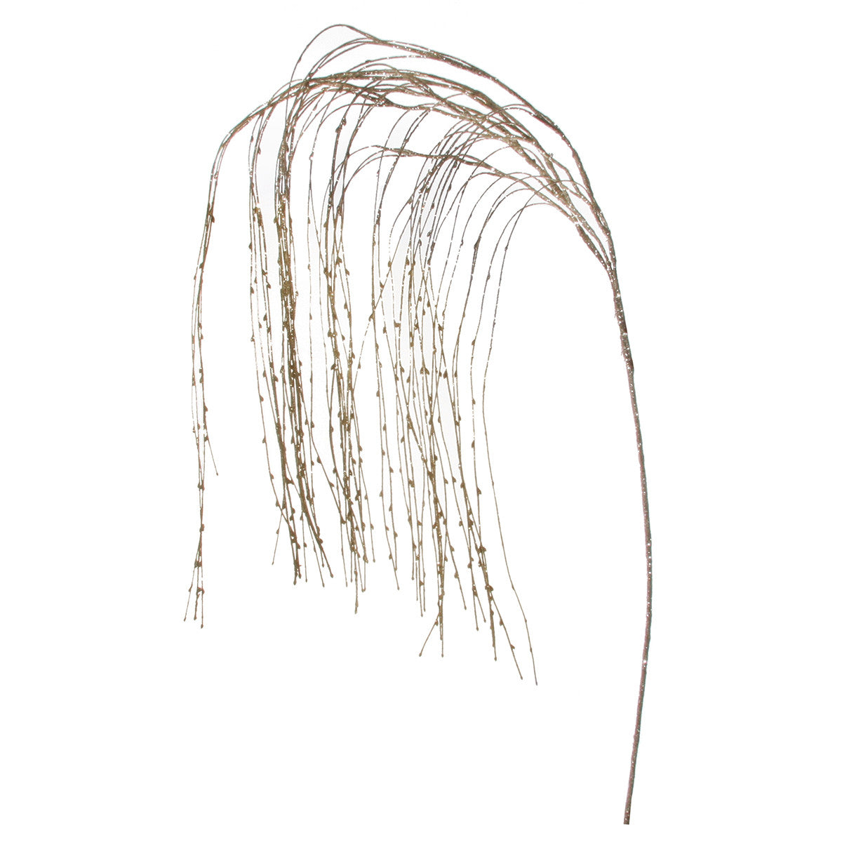 An image of ShiShi Champagne Weeping Willow