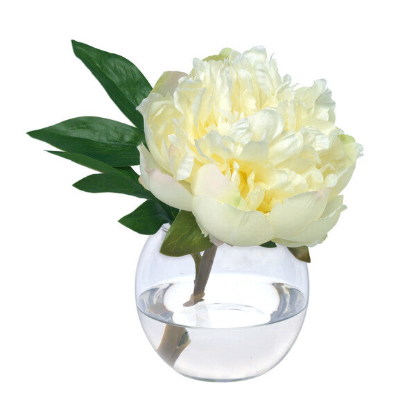 Diane James Cream peony blossom in glass bowl
