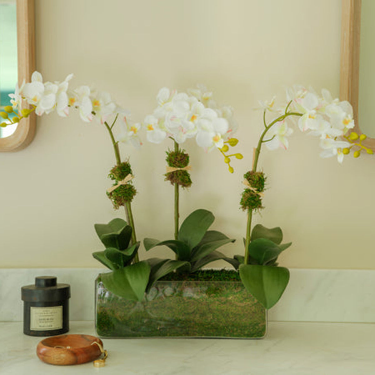 An image of Diane James Phalaenopsis orchid, 3 stems, in glass rectangle