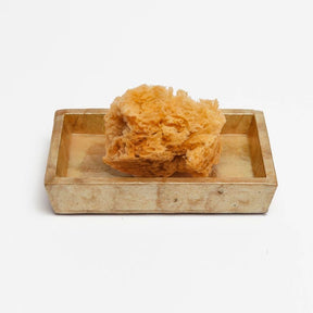 Pigeon and Poodle Andria Rectangular Soap Dish