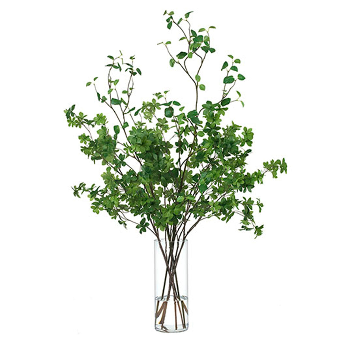 An image of Diane James Green Leaves in Tall Glass