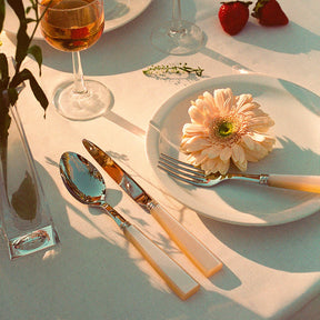Sabre Icone 5-Piece Place Setting
