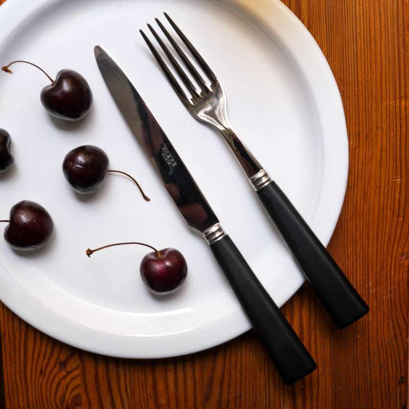 An image of Sabre Nature 5-Piece Place Setting