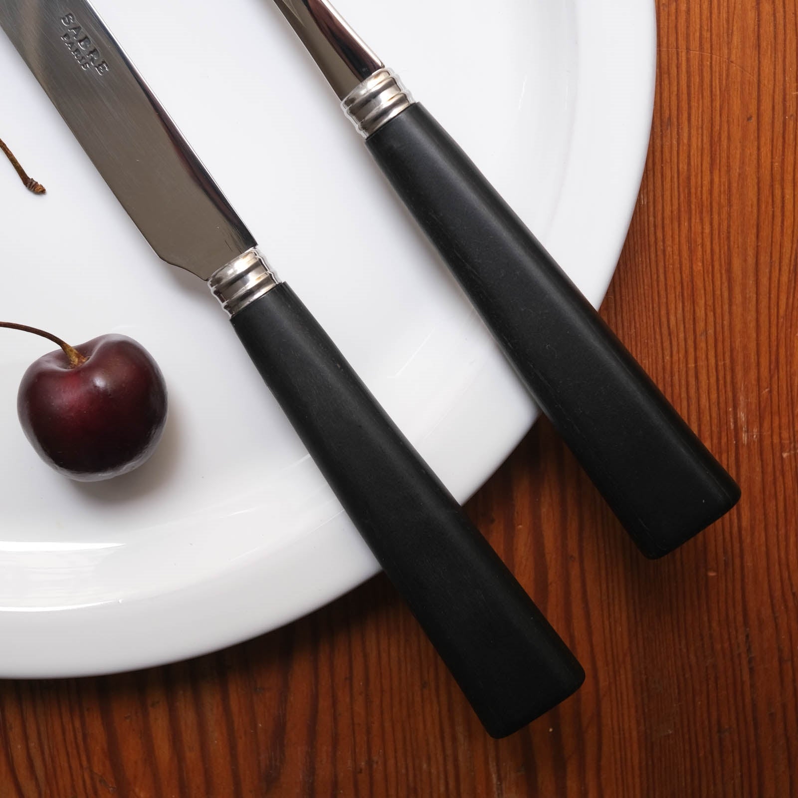An image of Sabre Nature 5-Piece Place Setting