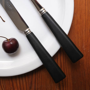 Sabre Nature 5-Piece Place Setting
