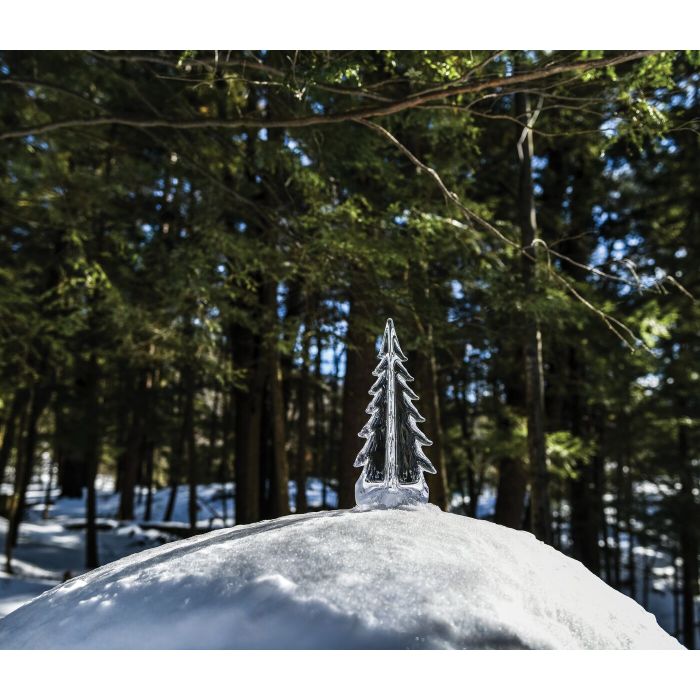 An image of Simon Pearce Vermont Evergreen in Gift Box