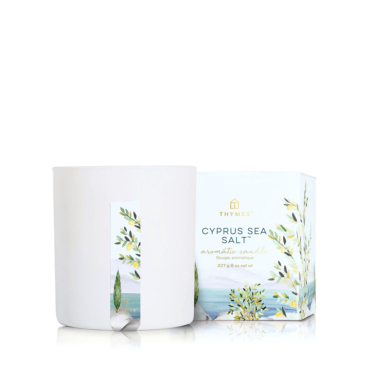 Thymes Cypress Sea Salt Poured Candle 8.0 oz