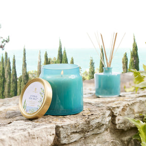 Thymes Cypress Sea Salt Petite Reed Diffuser 4.0 fl oz